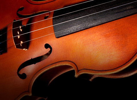 Picture of an instrument's strings